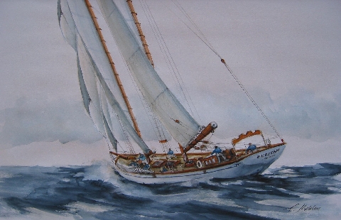 Puritan - Aquarelle - 50 x 61 cm - Francis Kuhlen